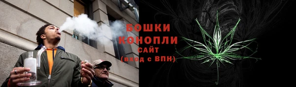 ПСИЛОЦИБИНОВЫЕ ГРИБЫ Нягань