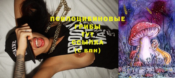 стаф Остров