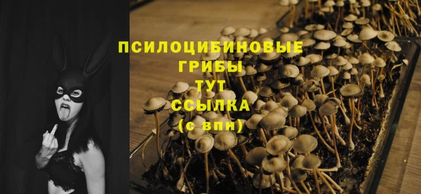 ПСИЛОЦИБИНОВЫЕ ГРИБЫ Нягань